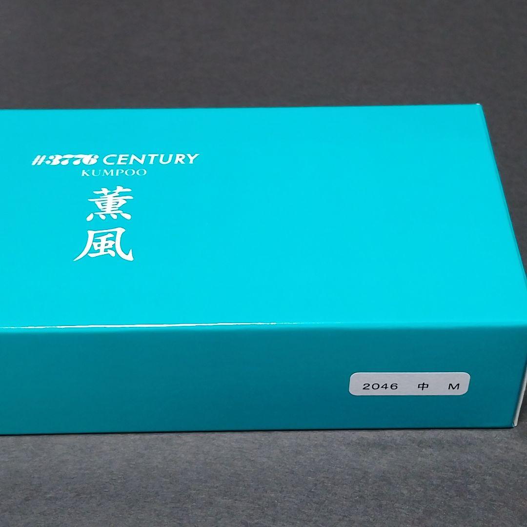 【PLATINUM】薫風 М 万年筆 #3776 CENTURY