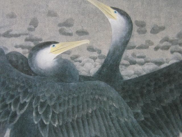 齋藤満栄、【鵜】、希少な額装用画集より、新品額装付、状態良好