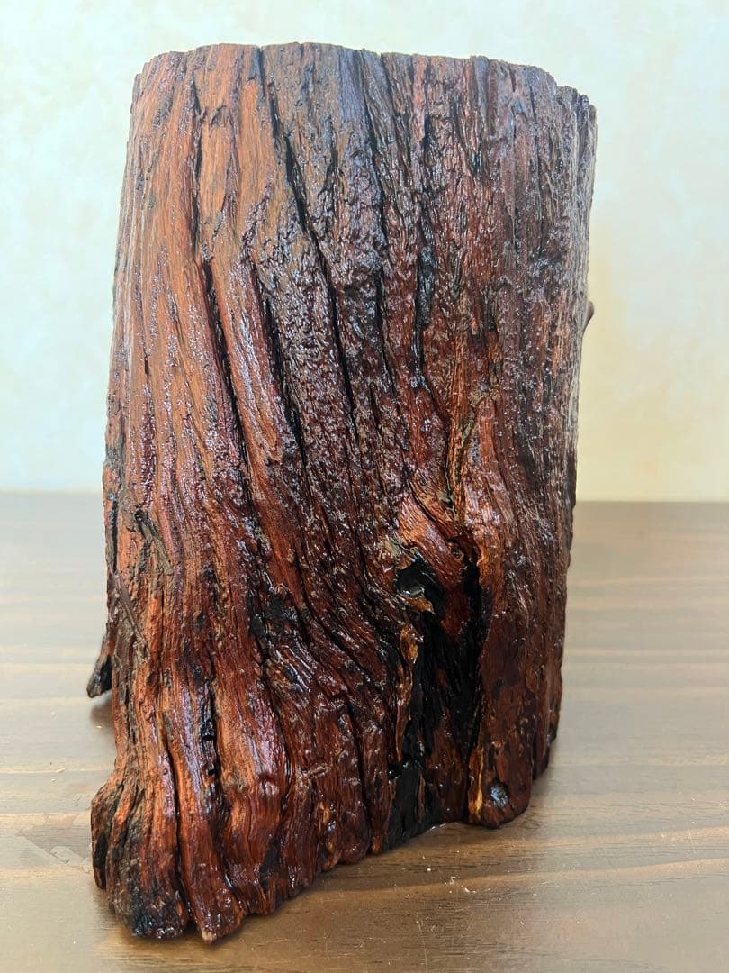 HX-007流木　空洞　爬虫類　アクアリウム　アクアテラリウム　即沈水