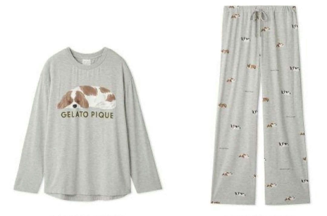 ジェラートピケ ルームウェア　キャバリア上下セット　　16-1