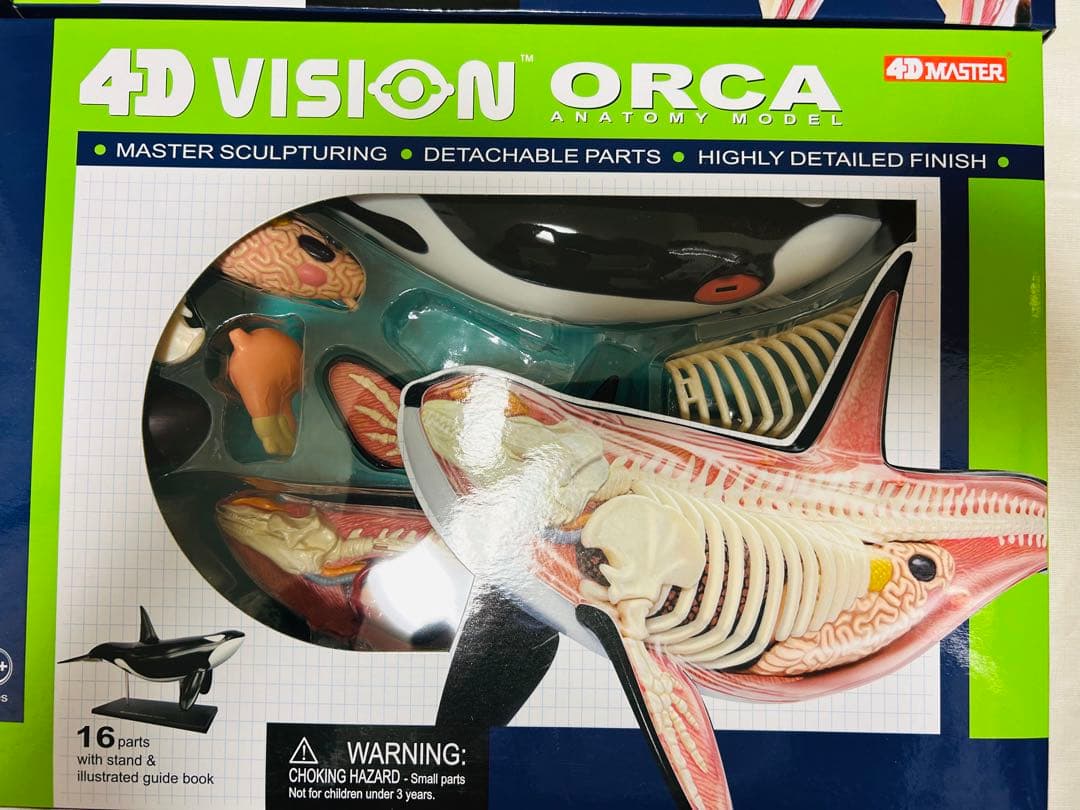 スカイネット　立体パズル　4D Vision 動物解剖模型セット　青島文化教材社