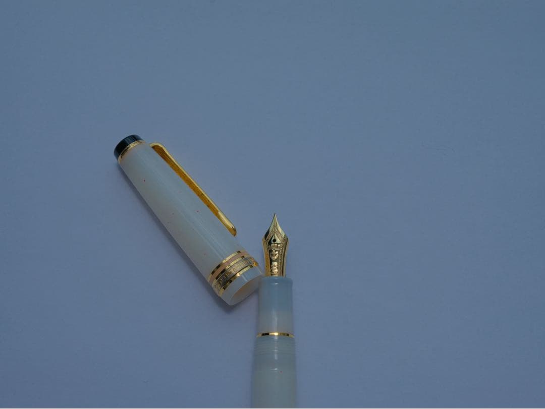 セーラー　四季織　雪椿　万年筆　EF