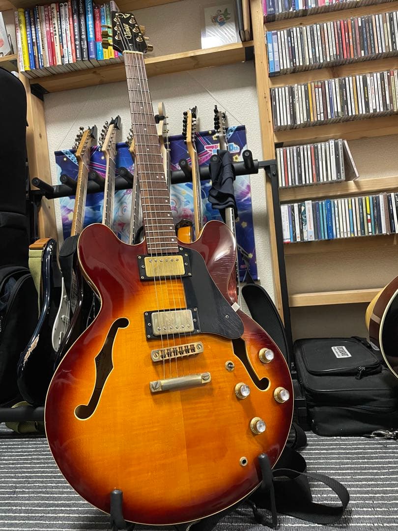 Vantage 635TG セミアコ