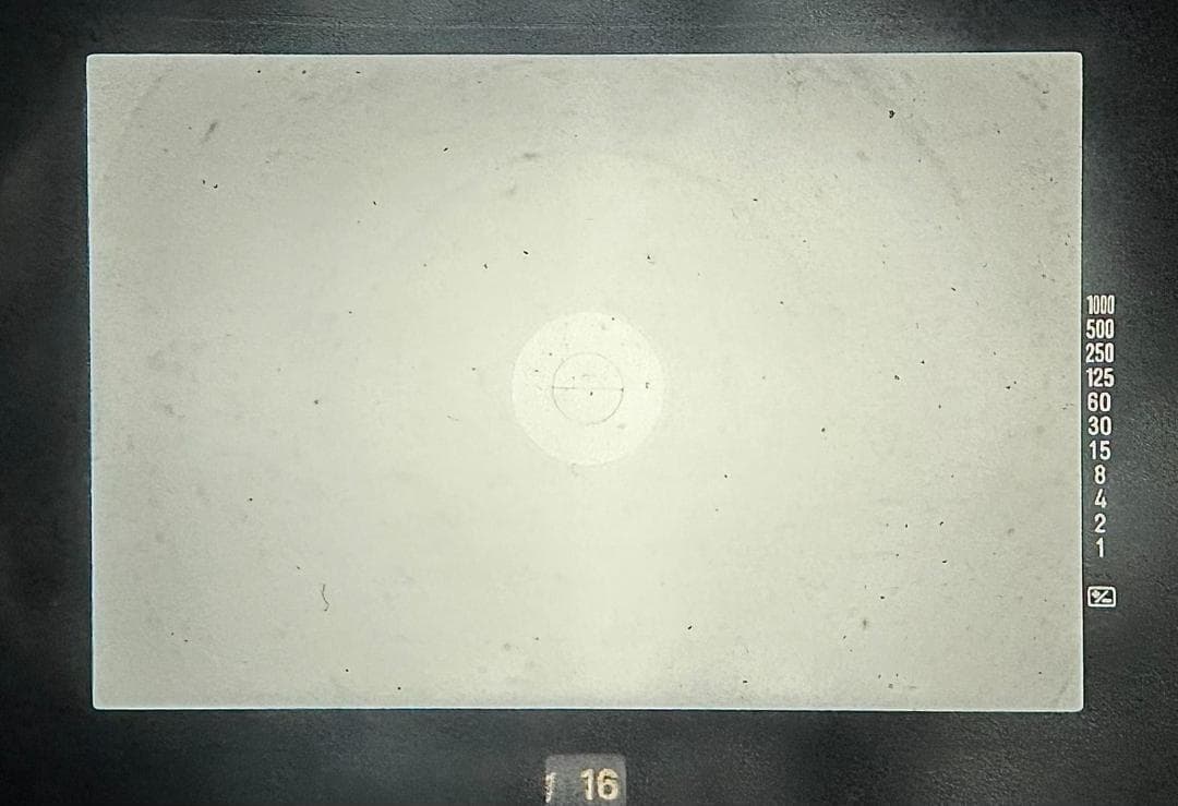 ミノルタ Minolta X-700 + 50mm F1.4