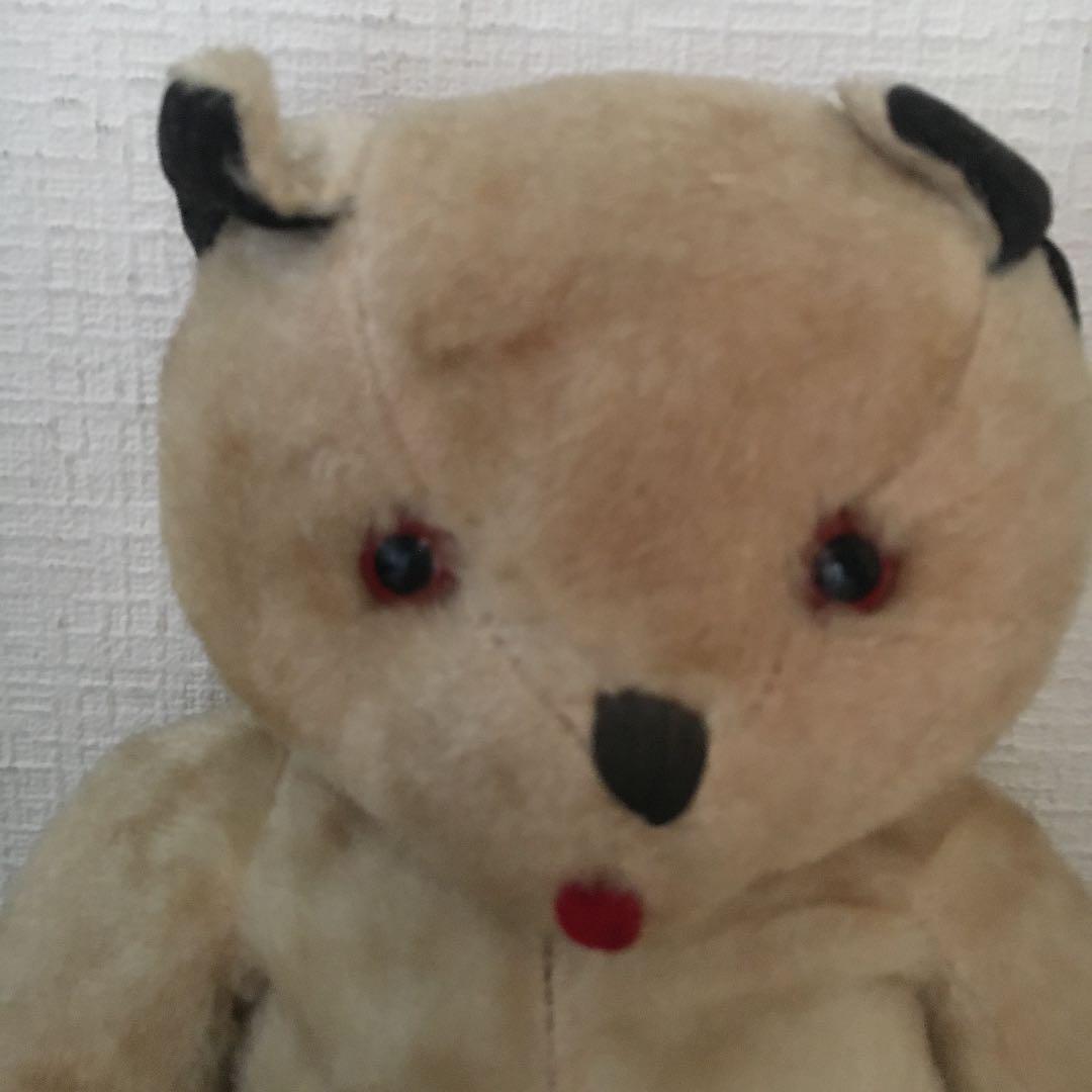 スーティーベア