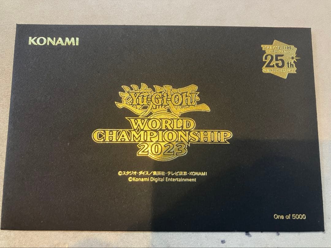 ★T world championship ２枚セット キズあり S0450