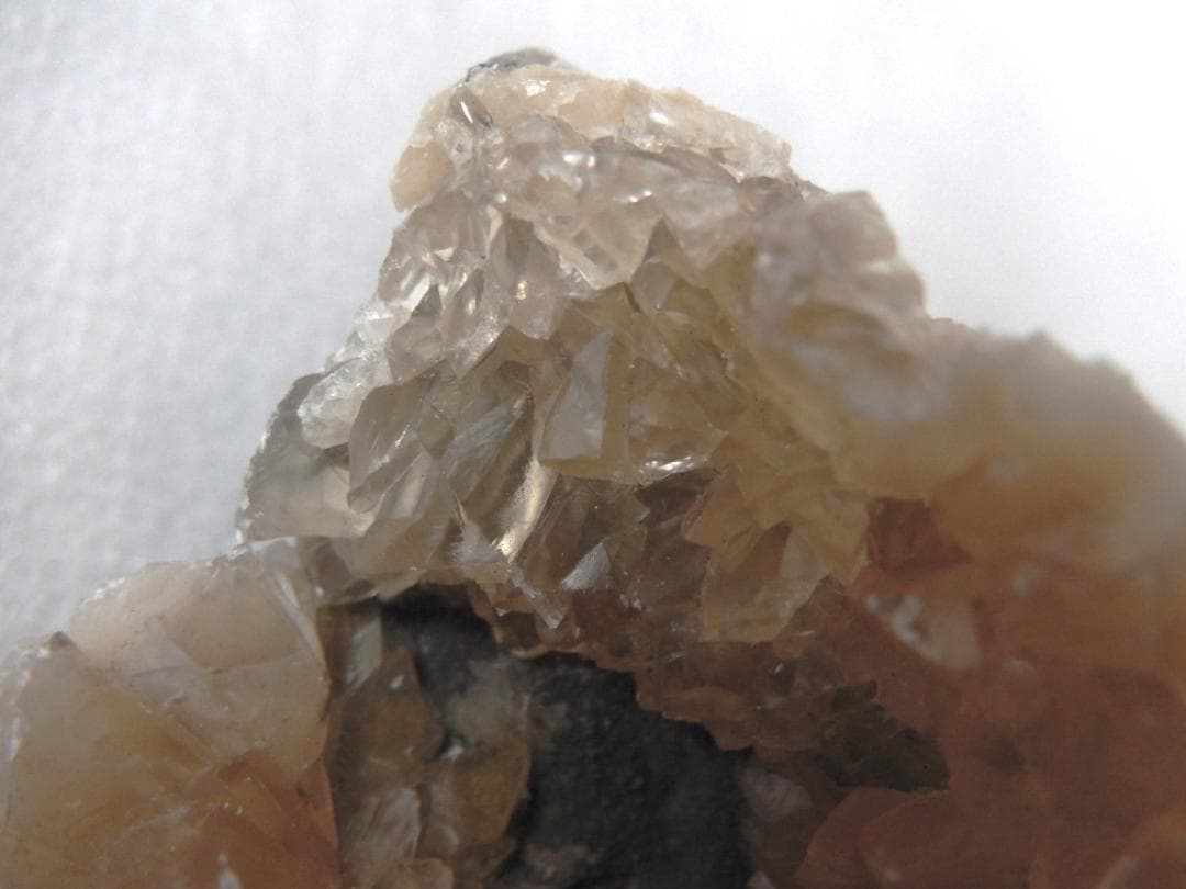 m盆・・・さま専用：方解石化した二枚貝の化石 カルサイト 鉱物標本 蛍光鉱物