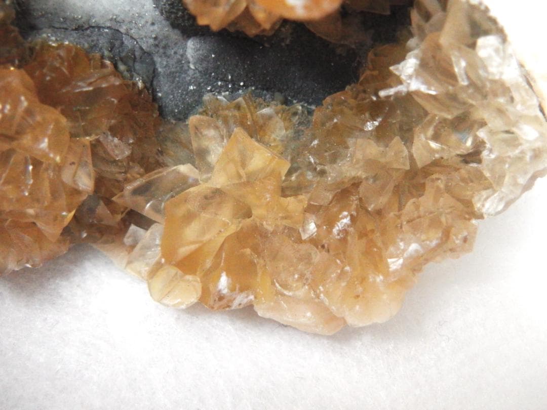 m盆・・・さま専用：方解石化した二枚貝の化石 カルサイト 鉱物標本 蛍光鉱物