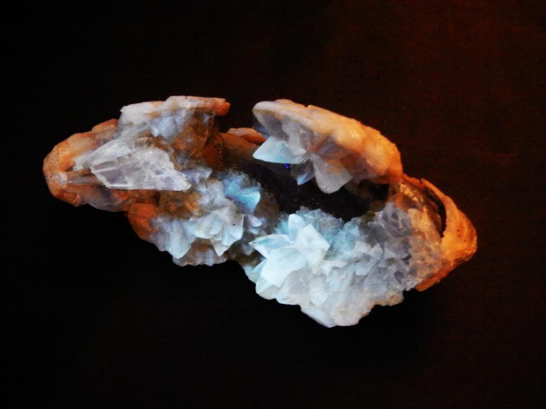 m盆・・・さま専用：方解石化した二枚貝の化石 カルサイト 鉱物標本 蛍光鉱物