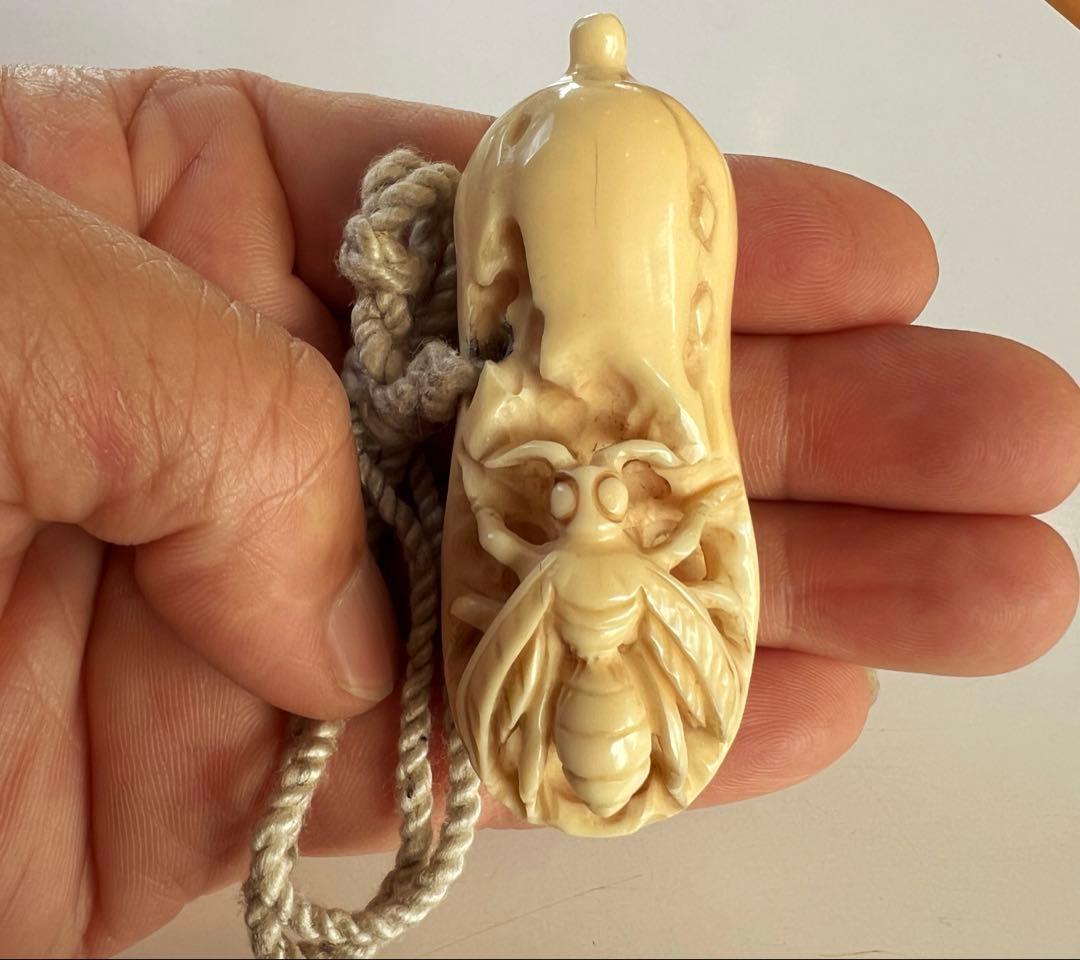 極上 本抹香鯨　虫　根付　重さ:45g. H4-4-3