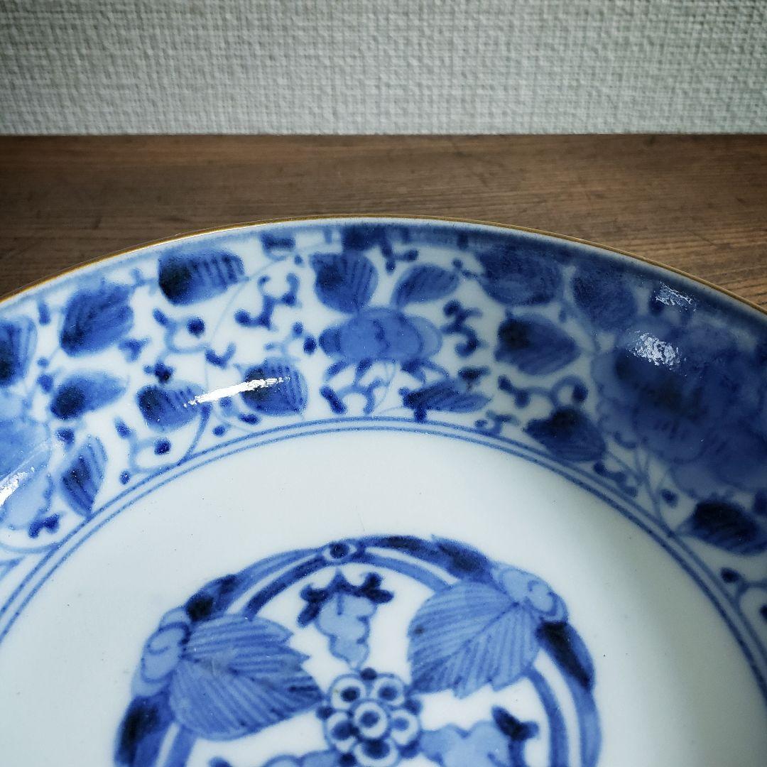なます皿　古伊万里　染付　江戸　花唐草　五弁花　蛇の目　渦福　イ号　訳あり