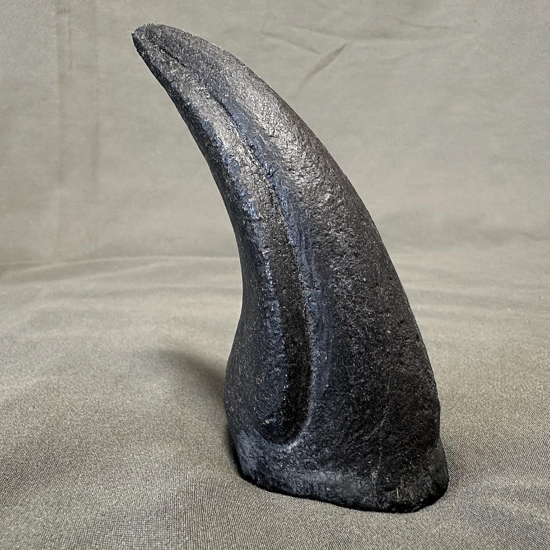 カルカロドントサウルス フットクロウ かぎ爪 化石 肉食恐竜 獣脚類 1515