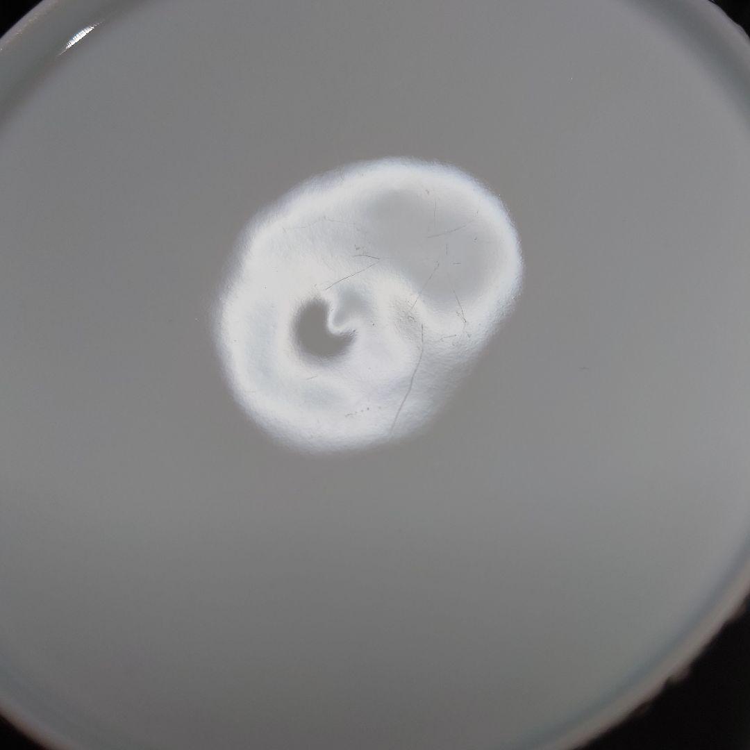 雅秀作 浦川雅秀 有田焼 玉彩 梅詰 茶器揃 急須 蓋付湯呑 4客 計 5点