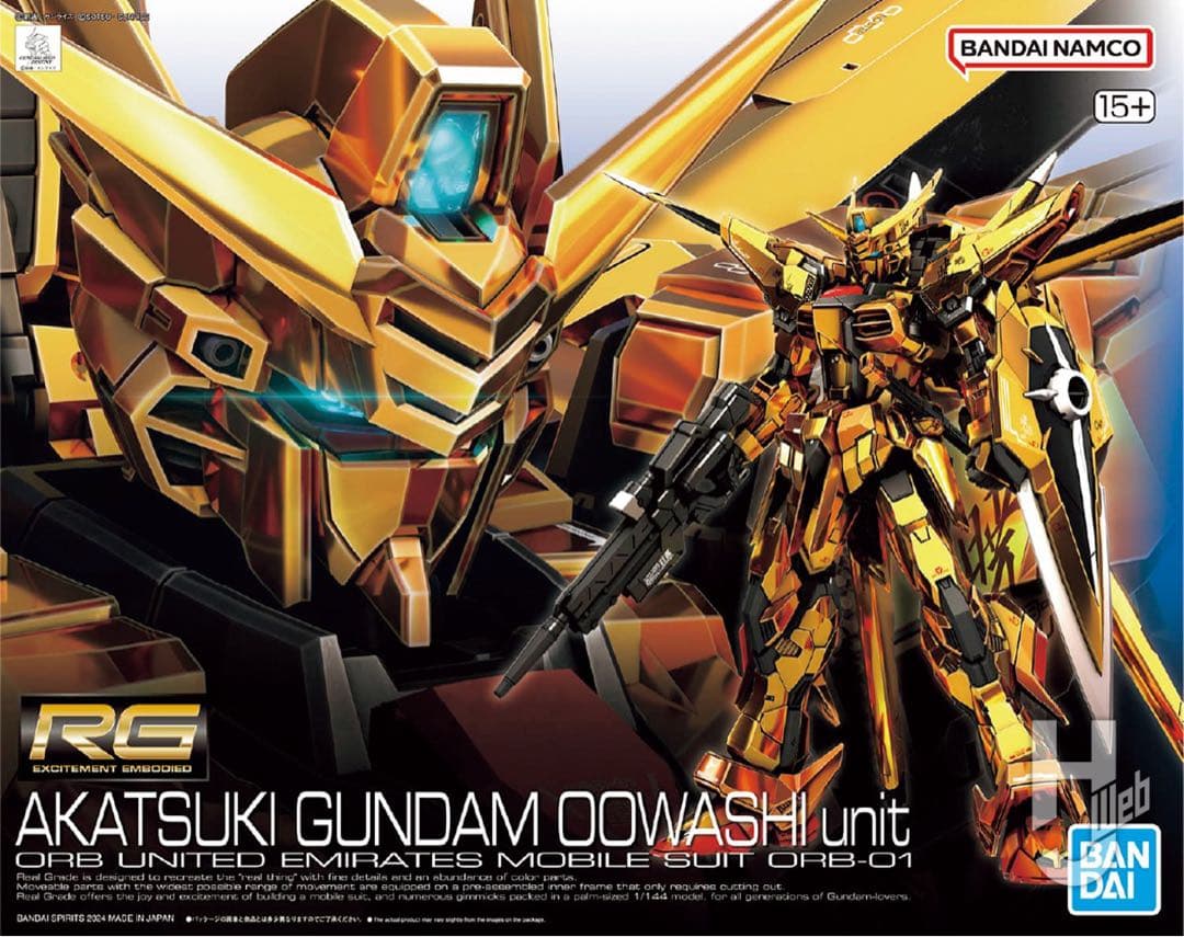 HG サイコガンダムMk-II & RGアカツキガンダム オオワシ 2個セット