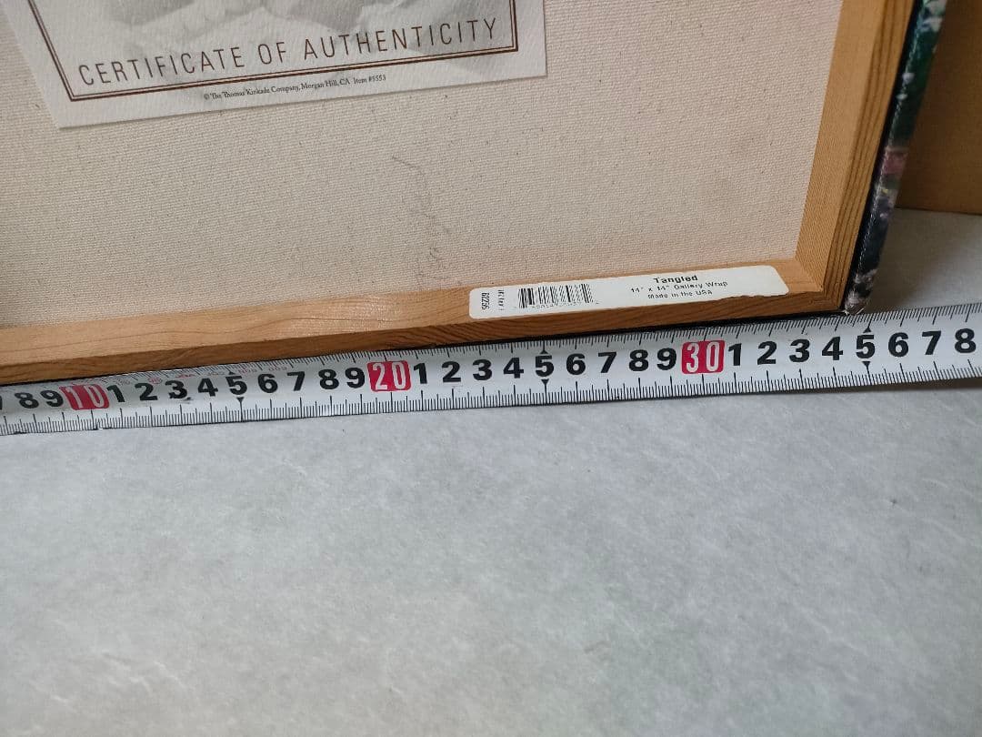 ★ディズニー/ トーマス・キンケード「塔の上のラプンツェル」