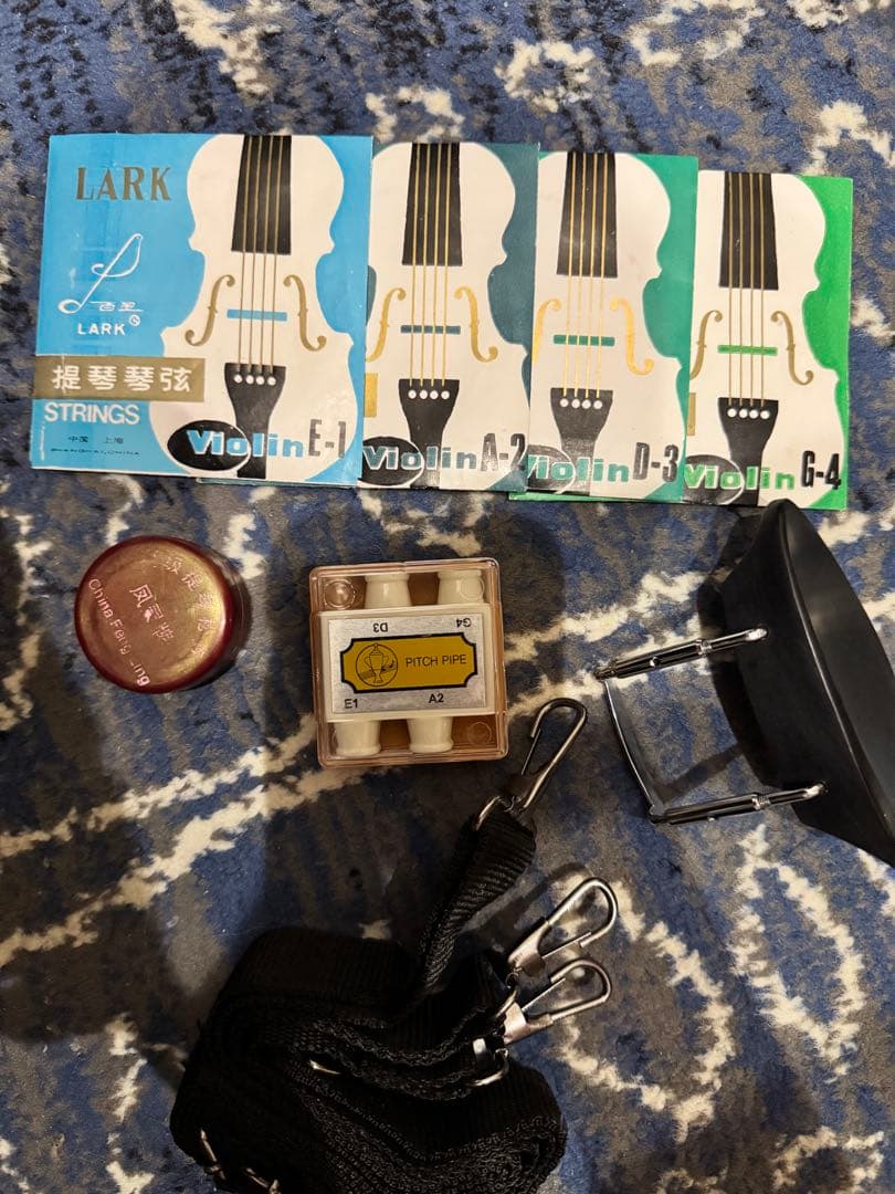 Carlo giordano バイオリン VS-0-44 4/4 フルサイズ