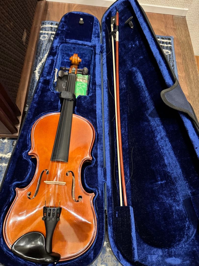 Carlo giordano バイオリン VS-0-44 4/4 フルサイズ