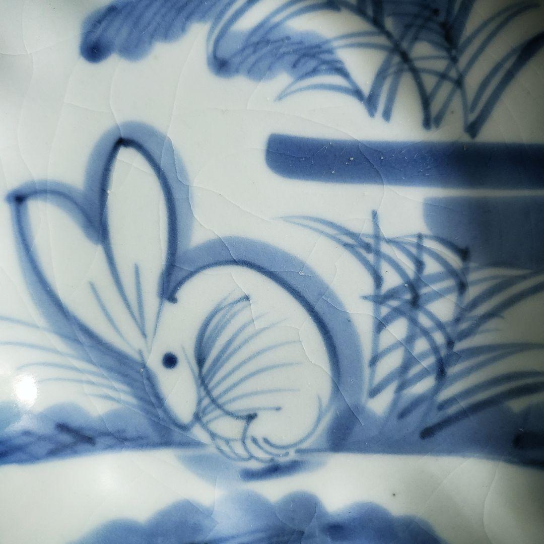 なます皿　兎　ウサギ　古伊万里　江戸　アマテ　イ号　訳あり