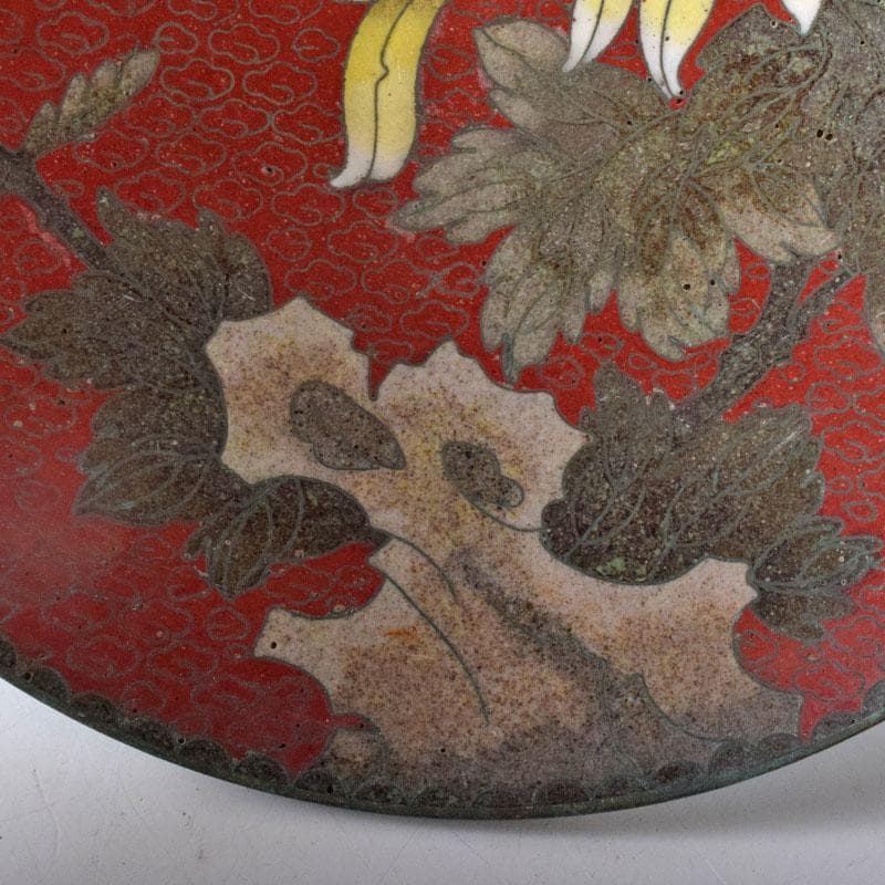 中国　古七宝琺瑯彩　花蝶文盤　皿　V　R8772