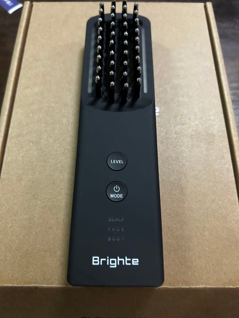 ル*フ様 ブライトエレキブラシプラス　ブライト　エレキブラシ　プラス