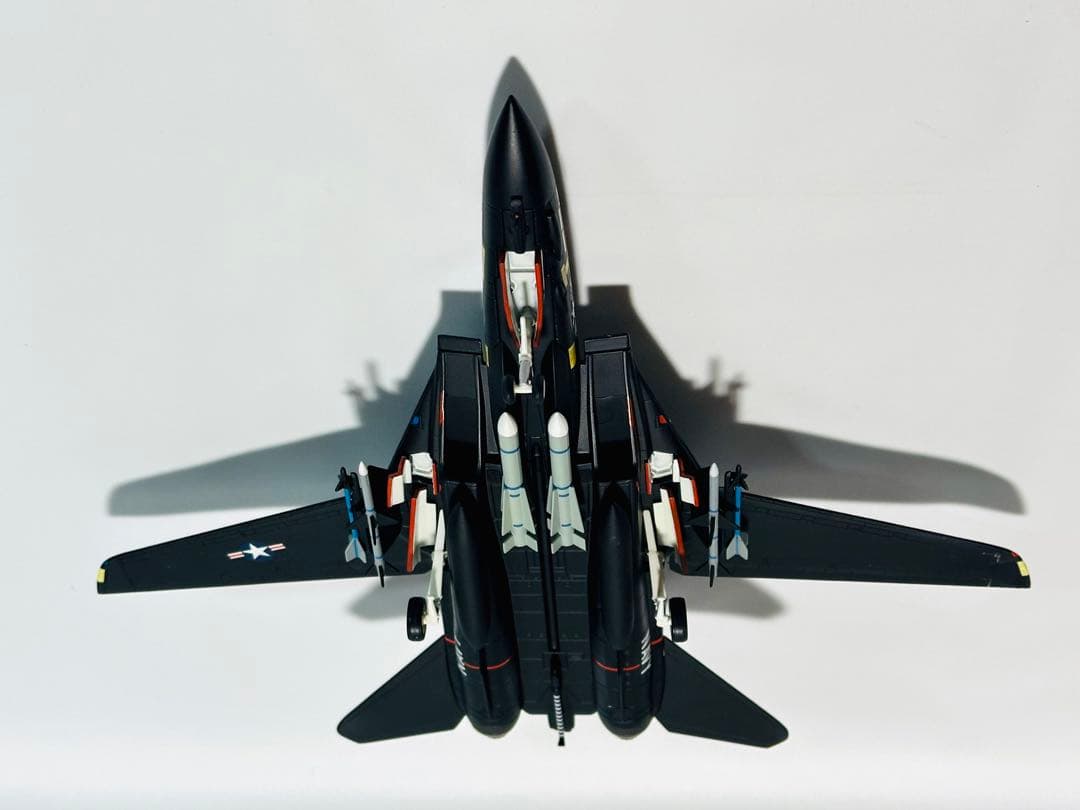 hogan 1/80 F-14A Tomcat VX-4 ブラックバニー