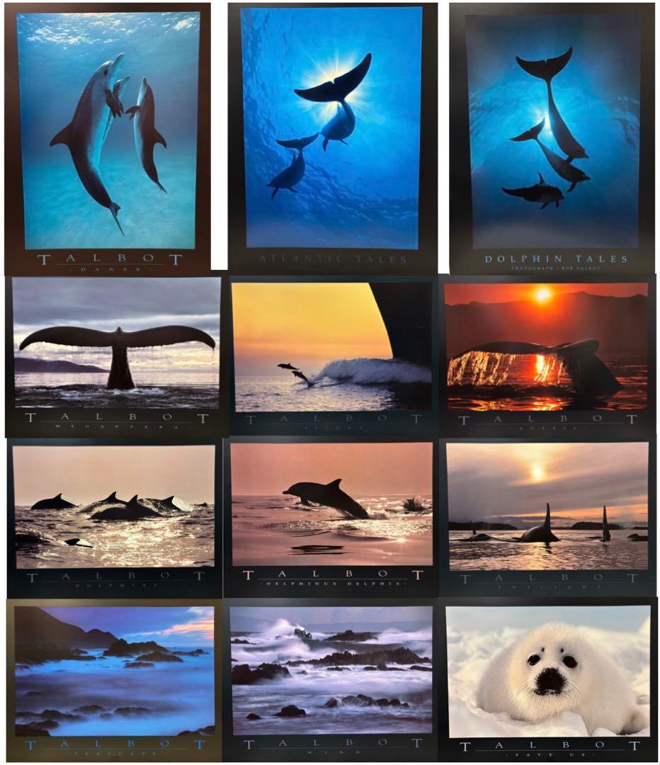 Bob Talbot 80s vintage poster 12種セット