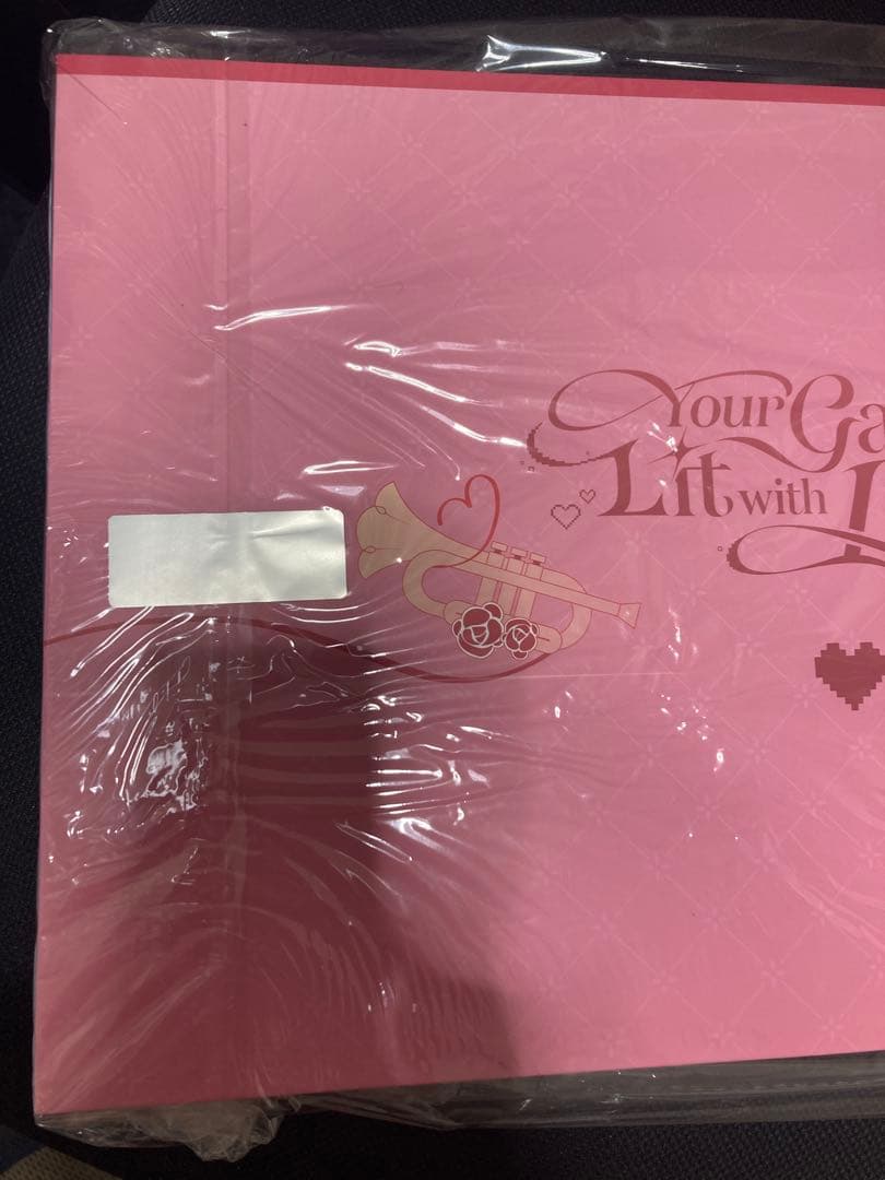 最安値　新品未開封　ROG 崩壊3rd エリシア アクセサリーコレクション