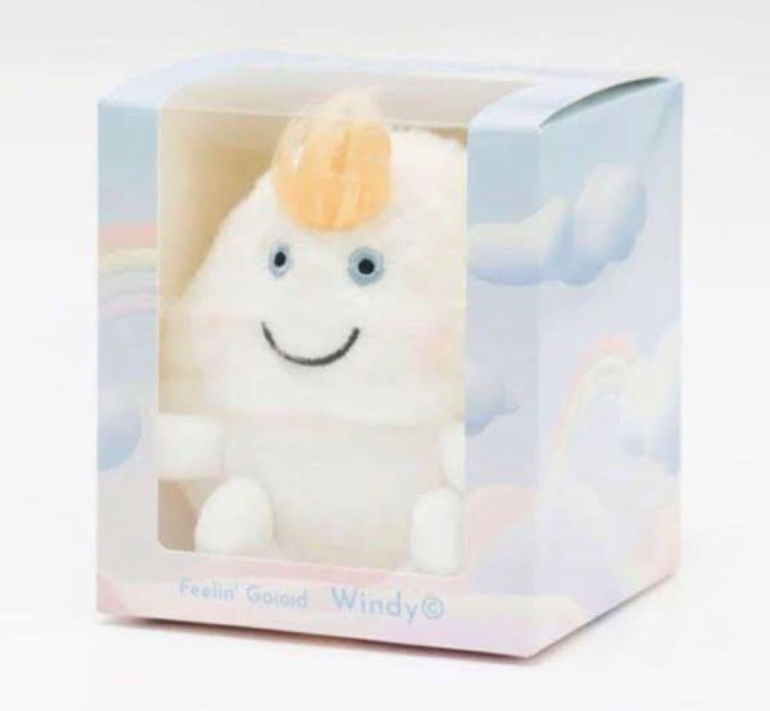 みー　windyちゃん➕燃えよロンT