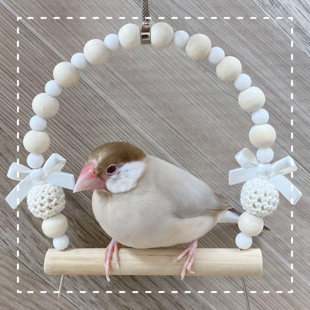 【あいか】ことりのあそびば　Plus