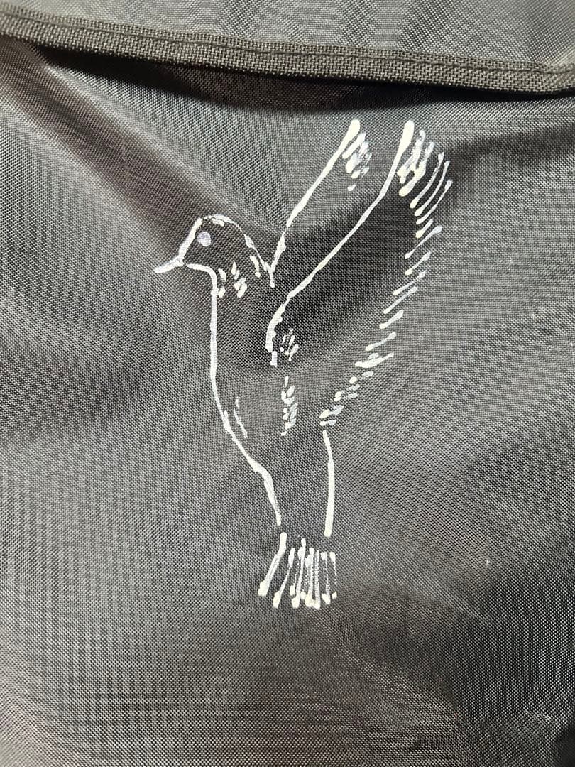 すずめの涙 希少Epiphone Hummingbird Aged