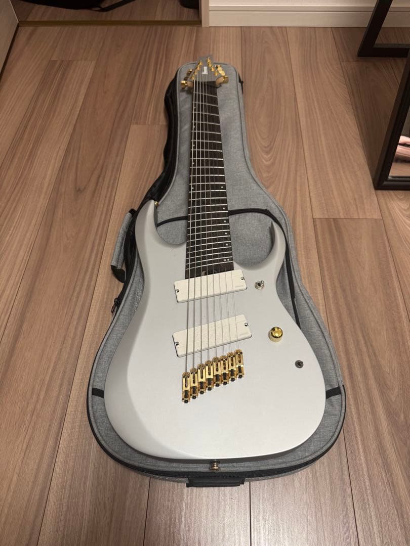 Ibanez ( アイバニーズ ) RGDMS8-CSM 8弦