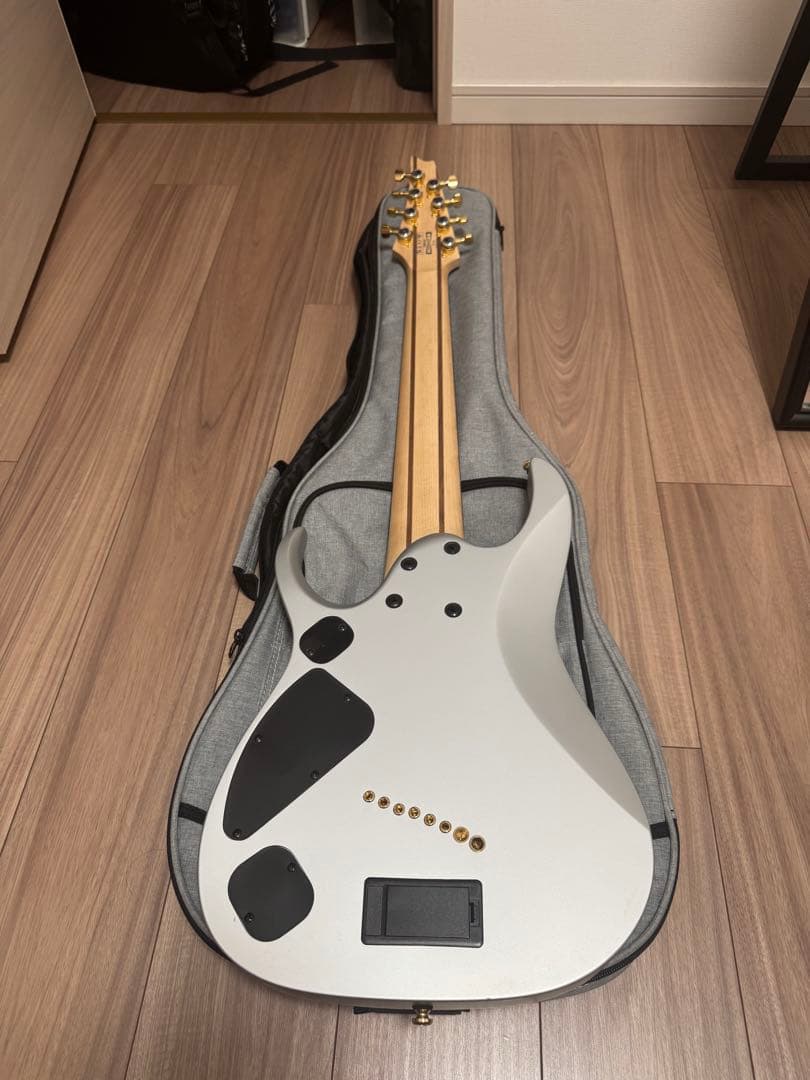 Ibanez ( アイバニーズ ) RGDMS8-CSM 8弦
