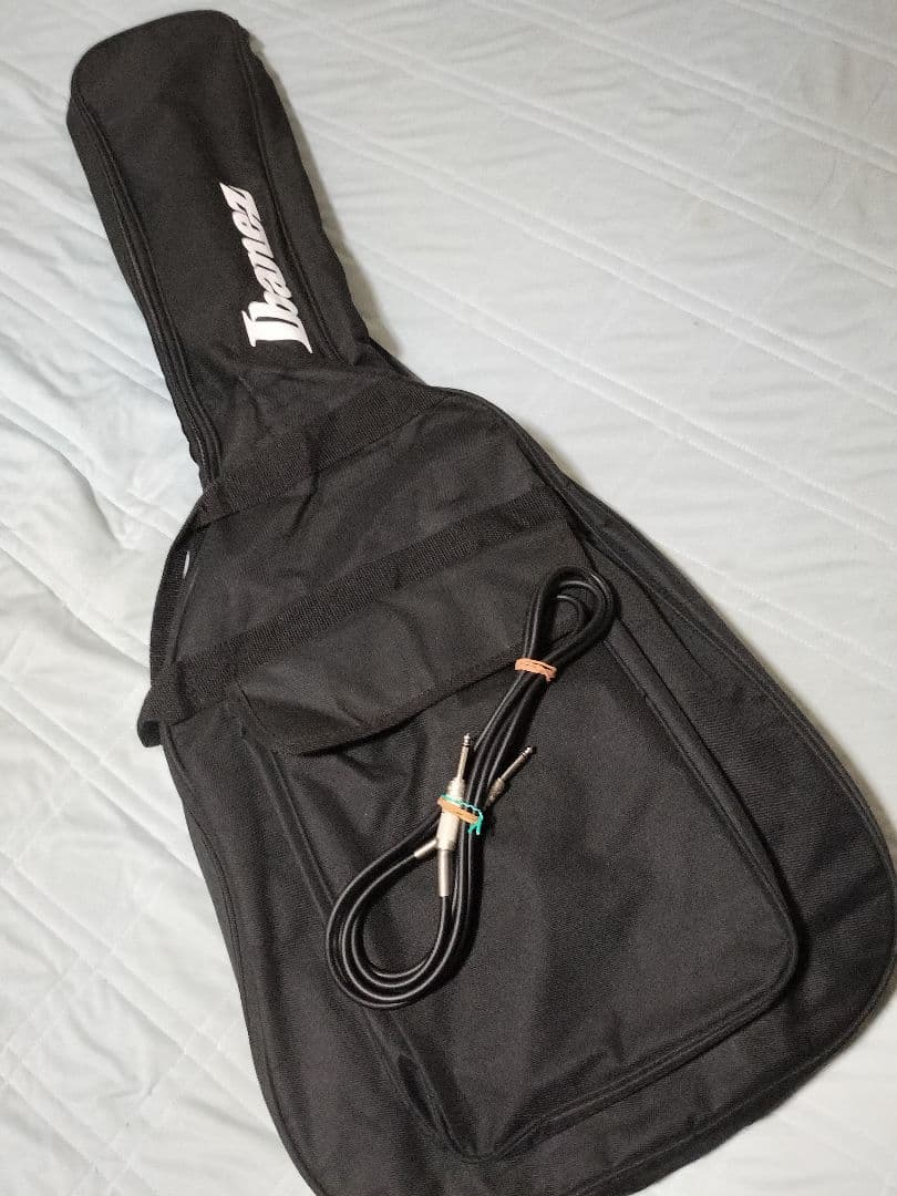 Epiphone エピフォン CASINO カジノ ナチュラル フルアコ