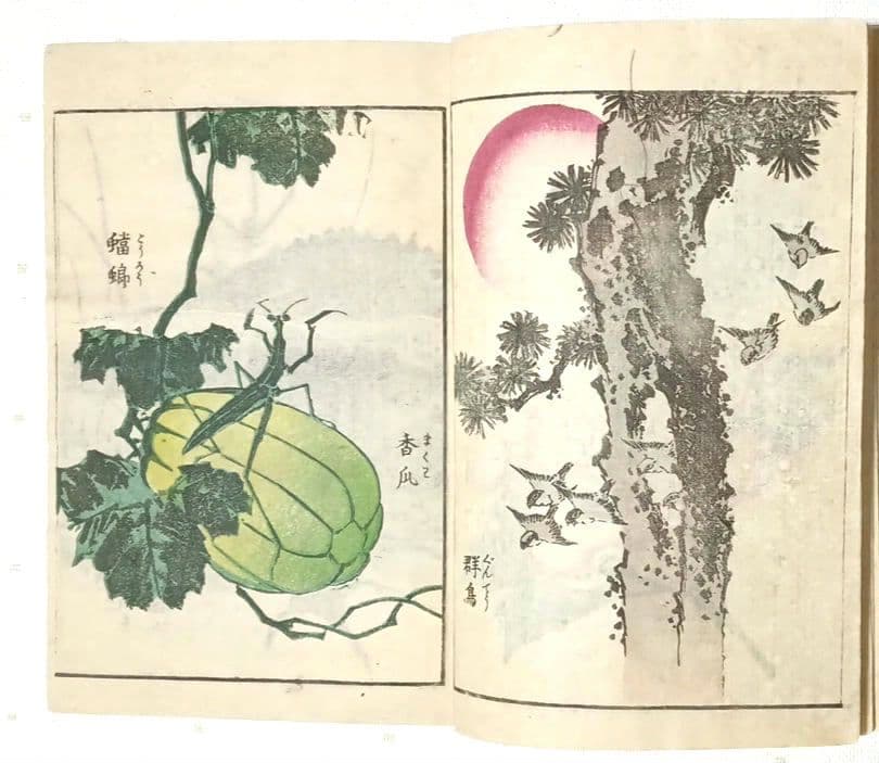 後摺多色刷り版画本傳神開手北斎画宛初編、葛飾北斎画、明治8年片野東四郎東壁堂出版