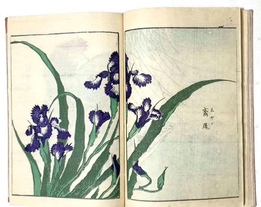 後摺多色刷り版画本傳神開手北斎画宛初編、葛飾北斎画、明治8年片野東四郎東壁堂出版