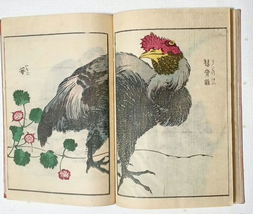 後摺多色刷り版画本傳神開手北斎画宛初編、葛飾北斎画、明治8年片野東四郎東壁堂出版