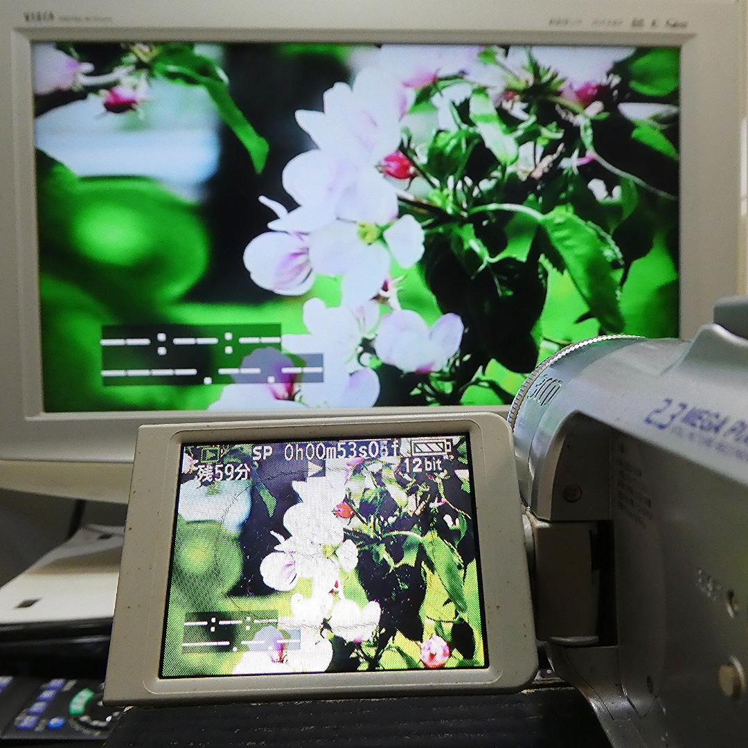 動作良好 パナソニック NV-GS150 MiniDVビデオカメラDVD化に最適
