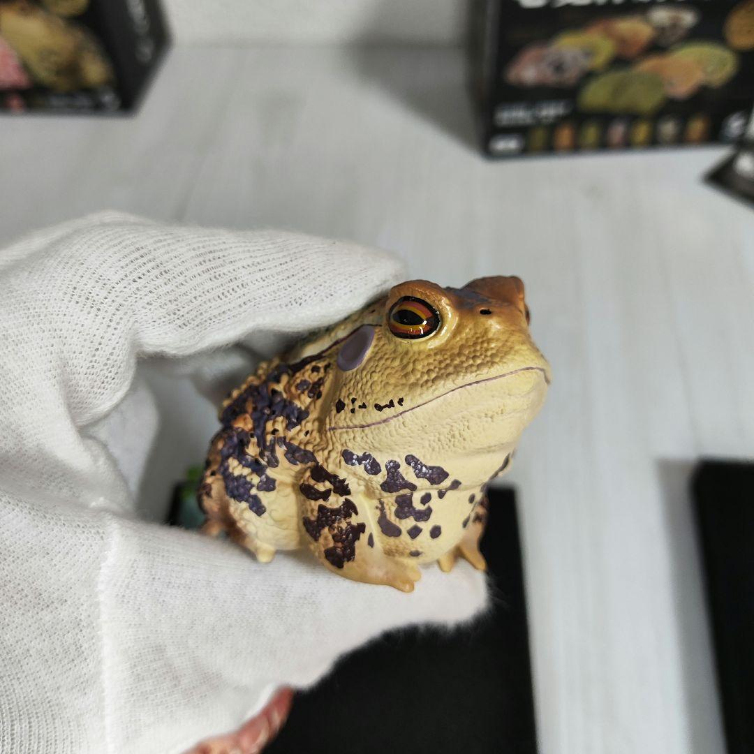 【動物の惑星】スーパーレア!韓国限定リリー&150体限定カエル!! フィギュア