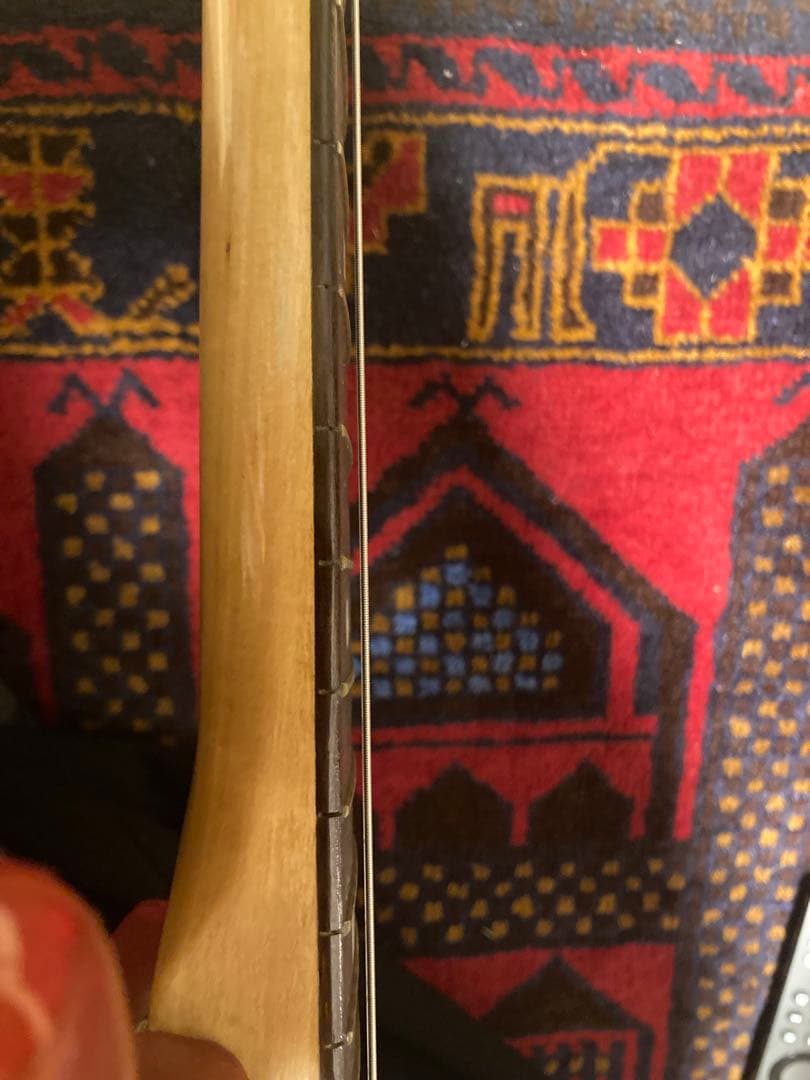 Guyatone LG80t 動作品 調整・分解清掃済み ビザールギター