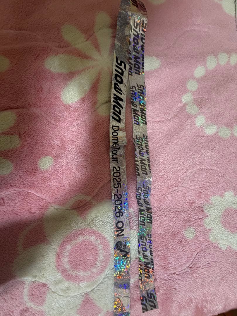 【新品未開封】ラウールくん☆グッズまとめ売り&銀テープ