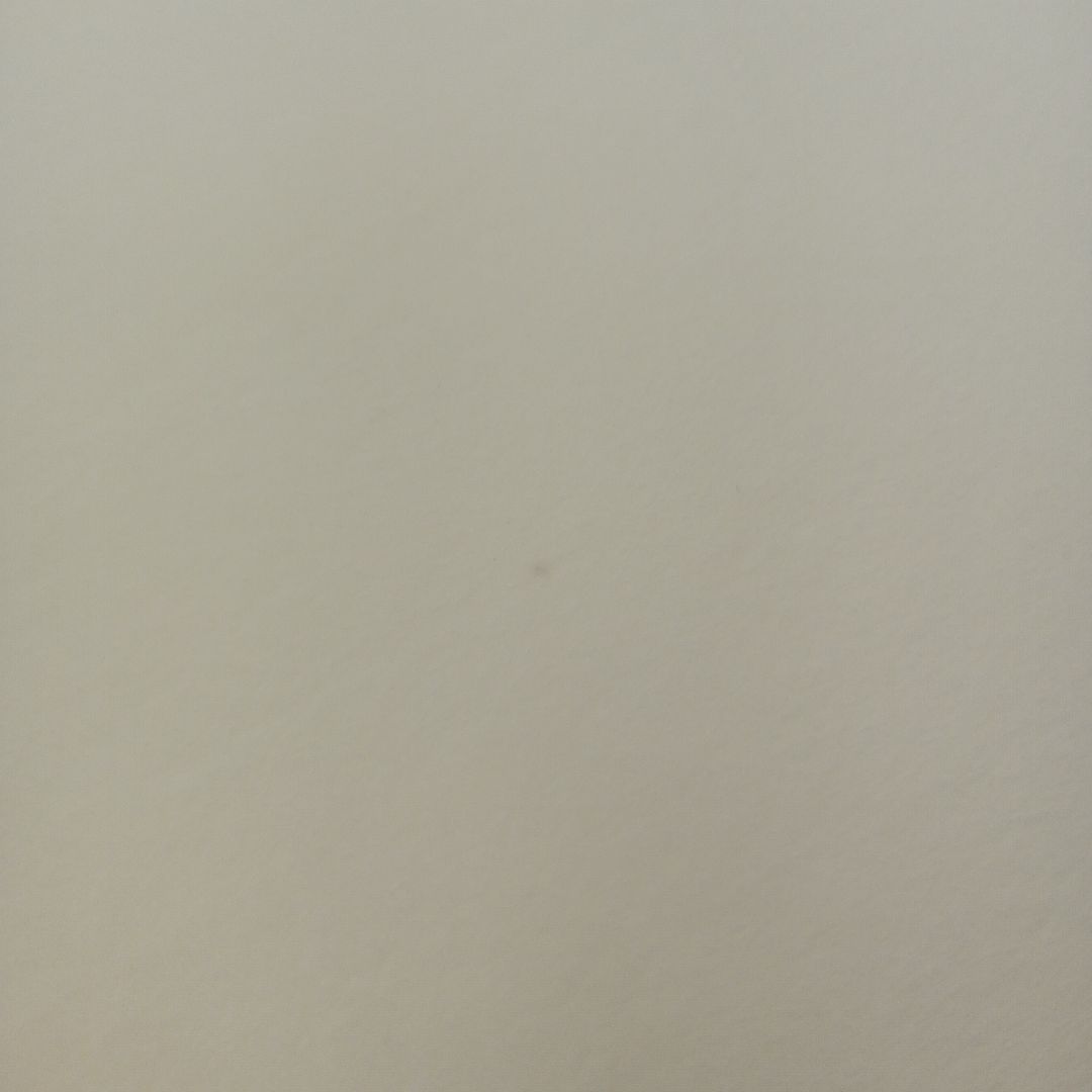 タグ付き　サンエックス　ジンベエさん　特大スーパーもーちもちぬいぐるみ　7th