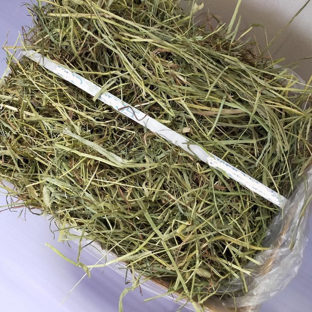 【12/30まで】US産 チモシー 60kg ２番刈り ソフトSプレミアム