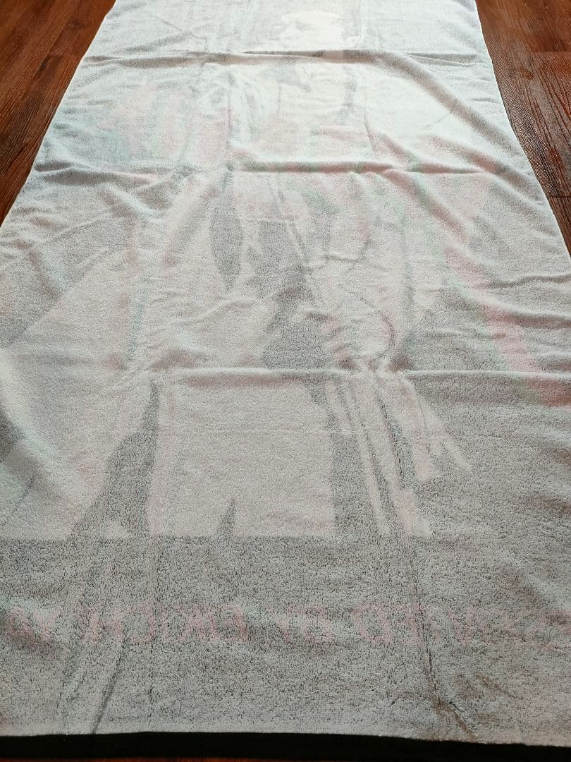 矢沢永吉 スペシャルビーチタオル 97s' SBT シルエット【新品未使用品】