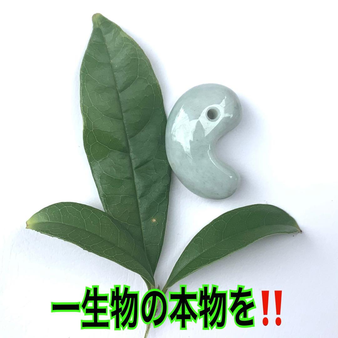 ⭕️独特の珍しい混じり合いの色彩　糸魚川翡翠ジェダイト勾玉　機械鑑定鑑別書付本物を