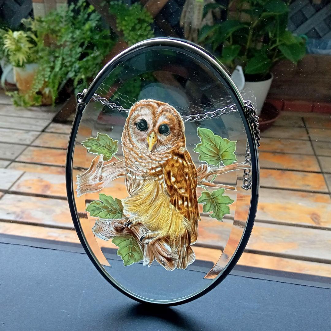 ライフォード社ステンドグラス ふくろうB梟フクロウ /グラスマスターズ トロント