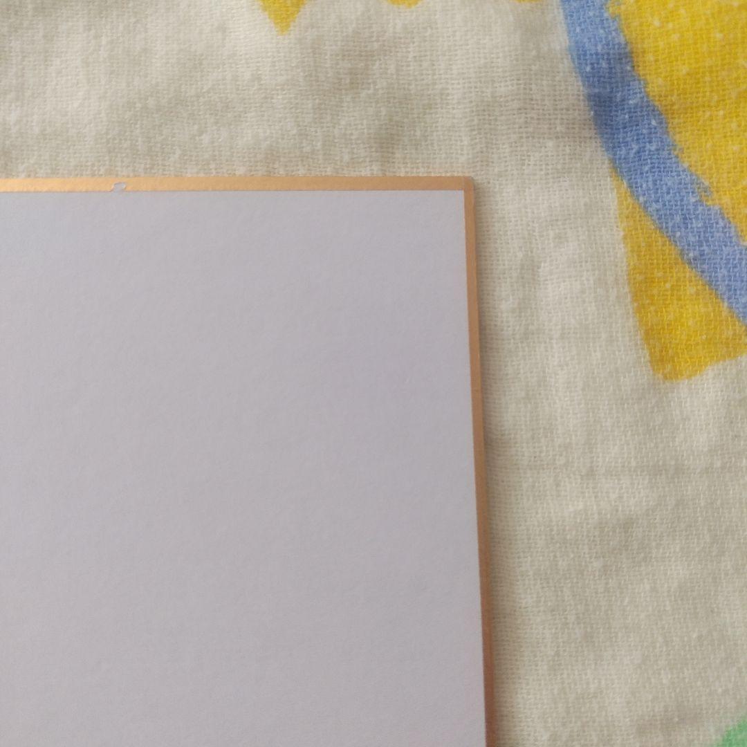 元F1ドライバー　　フェリペ・マッサ選手　直筆サイン色紙