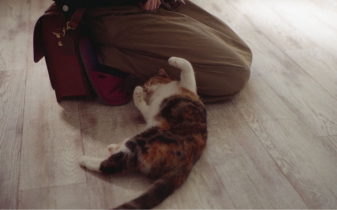 M*m様 Nikon S2 前期　NIKKOR-H 5cm f2