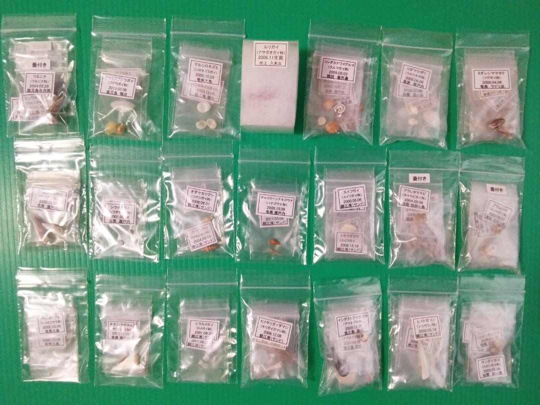 鹿児島県内で採集した「中型・小型・微小貝の貝殻２８０種類」