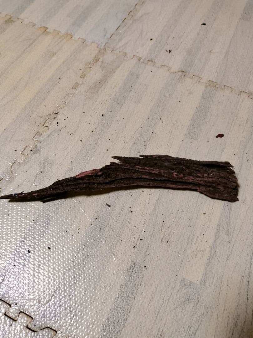 わ*ち様 水槽用流木 複数セット ホーンウッド ブランチウッド