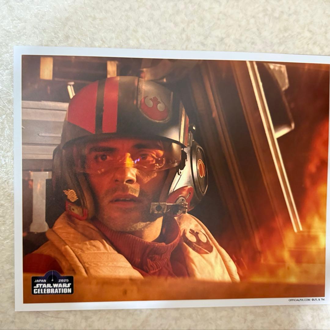 セバスチャンスタン　バッキーバーンズ　フィギュア　東京コミコン⭐︎オマケ16点付き